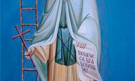 Predica Părintelui Antonie la Duminica a IV-a din Post (a Sf. Cuv. Ioan Scărarul; Vindecarea fiului lunatic; Predica de pe munte – Fericirile) – 22 Martie 2026