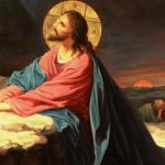 Predica Părintelui Xenofont la Duminica a VII-a după Paști (a Sfinților Părinți de la Sinodul I Ecumenic – rugăciunea lui Iisus). Despre păcatul dezbinării – 25 mai 2026
