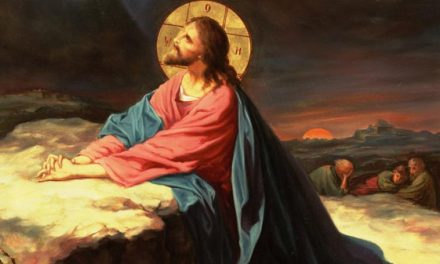 Predica Părintelui Xenofont la Duminica a VII-a după Paști (a Sfinților Părinți de la Sinodul I Ecumenic – rugăciunea lui Iisus). Despre păcatul dezbinării – 25 mai 2026