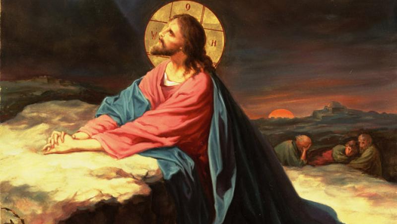 Predica Părintelui Xenofont la Duminica a VII-a după Paști (a Sfinților Părinți de la Sinodul I Ecumenic – rugăciunea lui Iisus). Despre păcatul dezbinării – 25 mai 2026