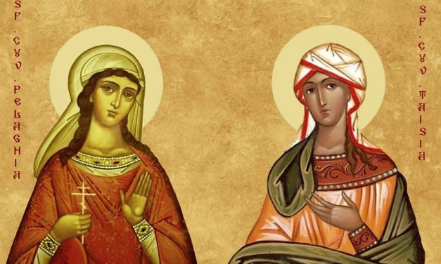 8 octombrie: Sfintele Cuvioase Pelaghia și Taisia, Sfânta Muceniță Pelaghia Fecioara, Cuvioasa Dositeea și Cuviosul Trifon de la Viatka, Sfântul Filotei I (Kokkinos) al Constantinopolului